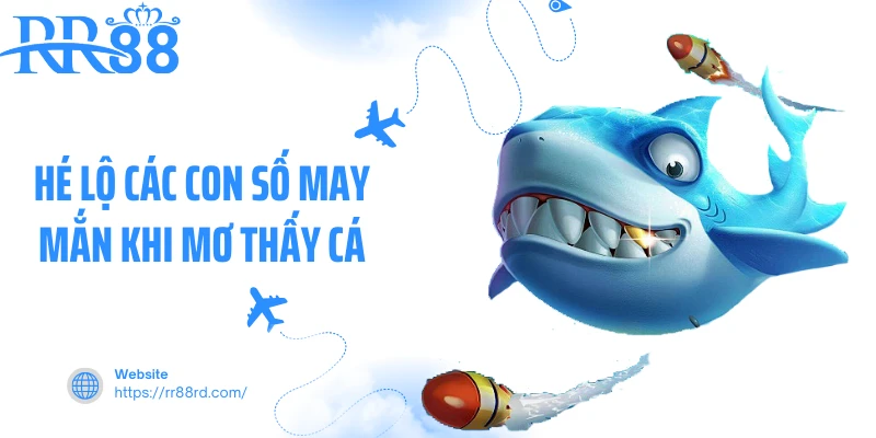 Hé lộ các con số may mắn khi mơ thấy cá Hé lộ các con số may mắn khi mơ thấy cá